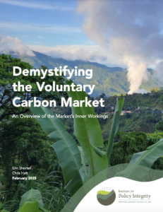 Demystifying the Voluntary Carbon Market